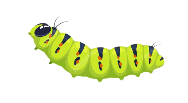 Stage Three: Chrysalis