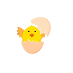 Stage Two: Hatchling