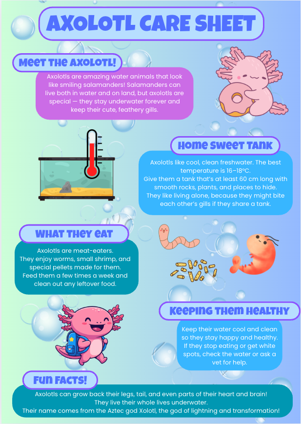 Axolotl Care Sheet