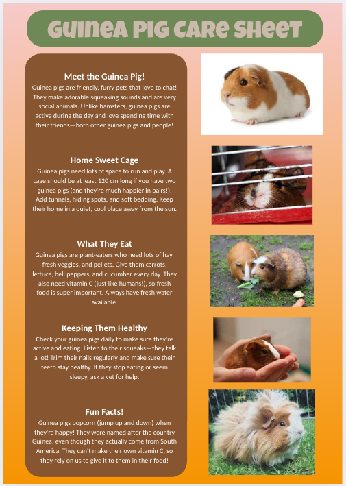 Guinea Pig Care Sheet